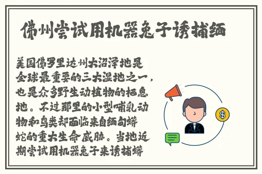 亚洲一码二码